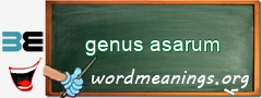 WordMeaning blackboard for genus asarum